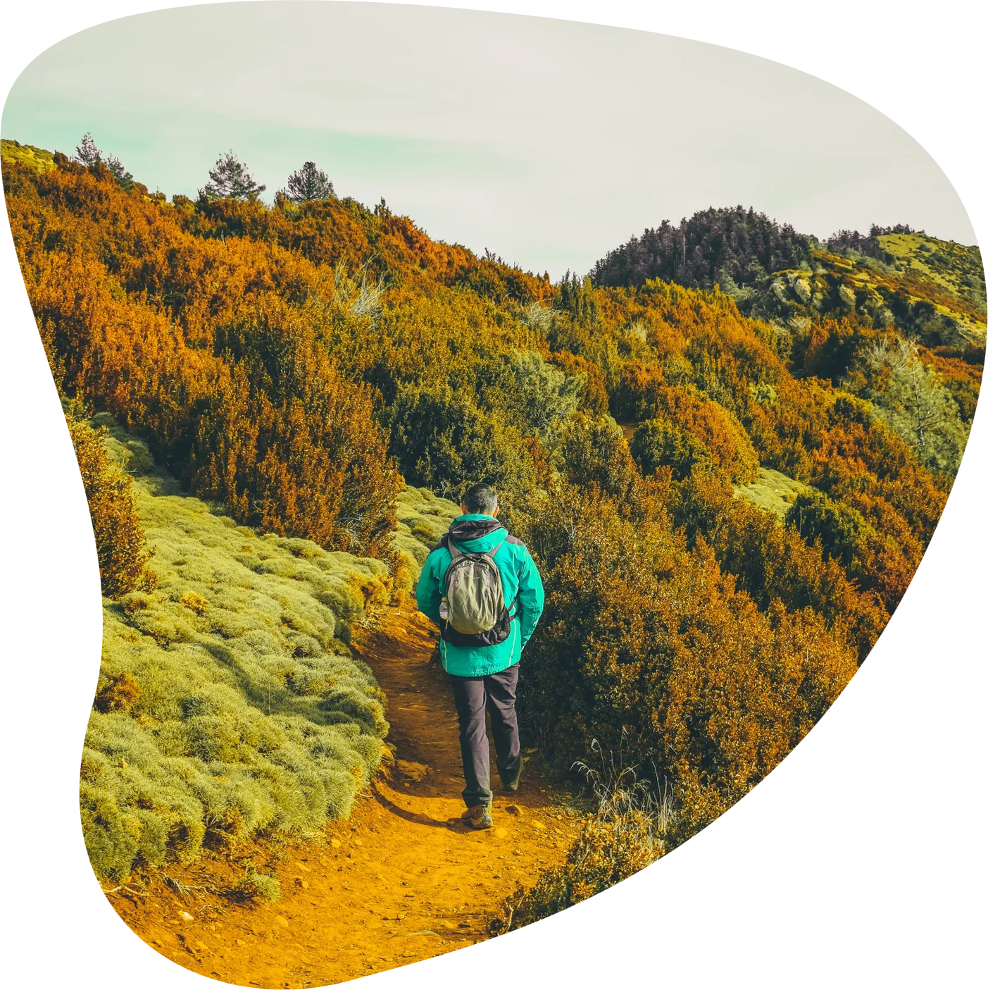 Wander and Wonder: Hiking
